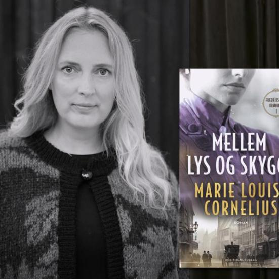 Mellem lys og skygge