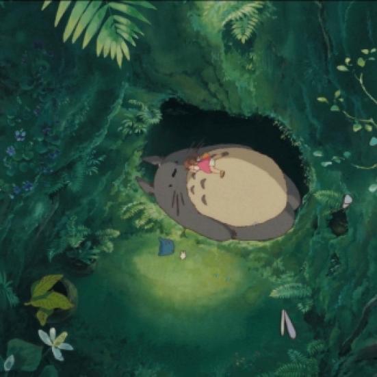 Miyazaki - Totoro