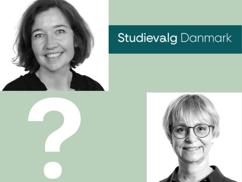 Studievalg Danmark 3