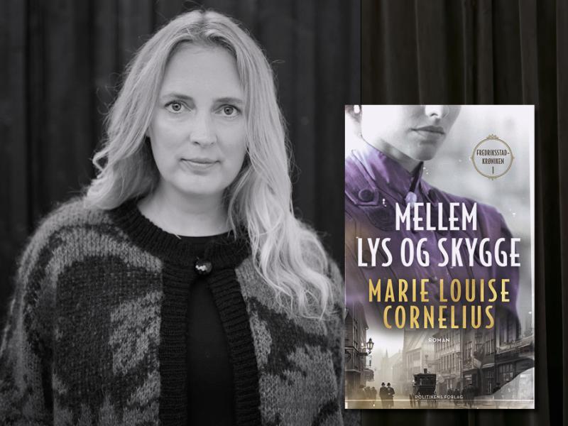 Mellem lys og skygge