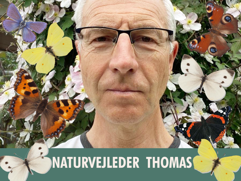 Naturvejleder Thomas