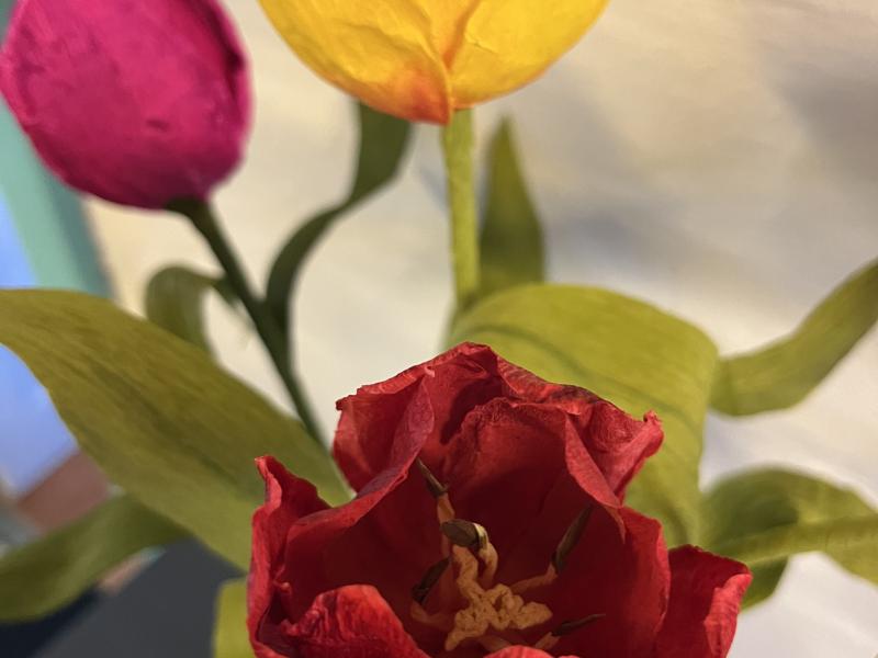 Tulipaner i crepepapir med Bente Ziersen 