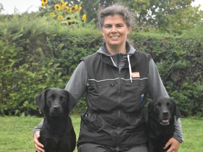 Hundetræning