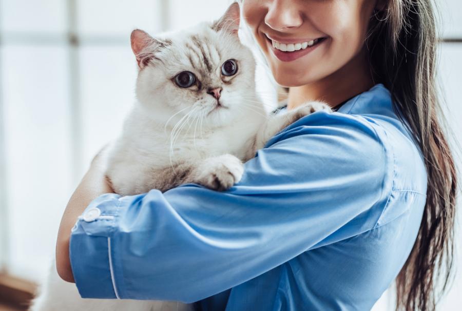 Hunde- og kattesygdomme: Hvordan forsker dyrlæger?